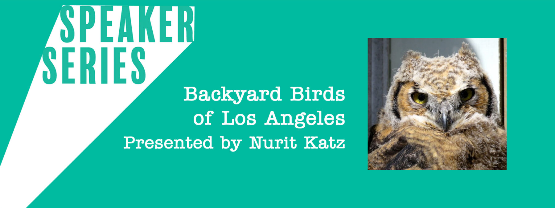 Speaker Series Backyard Birds of LA Presented by Nurit Katz with image of an owl