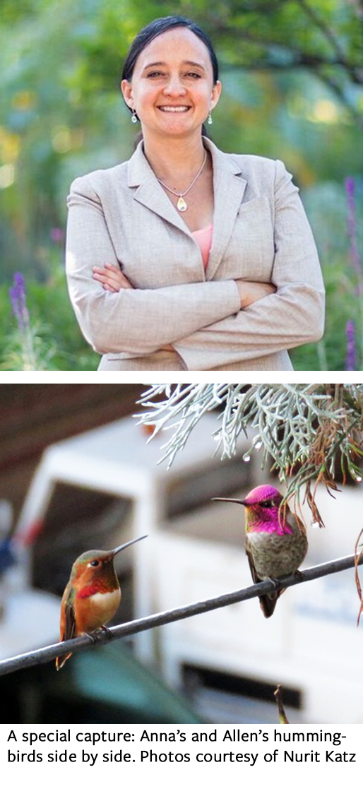 portrait of Nurit Katz above image of two hummingbirds