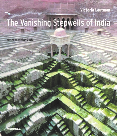The Vanishing Stepwells of India book cover
