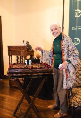 Jane Goodall with her 90th birthday cake
