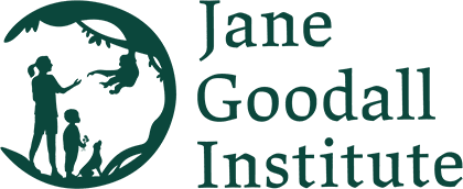 Jane Goodall Institute / Roots & Shoots
